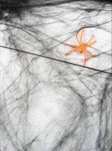 Czarna pajęczyna z pająkiem