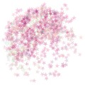 5902934209052 Konfetti - opalizujące gwiazdki @.jpg