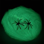 Świecąca w ciemności pajęczyna z pająkiem