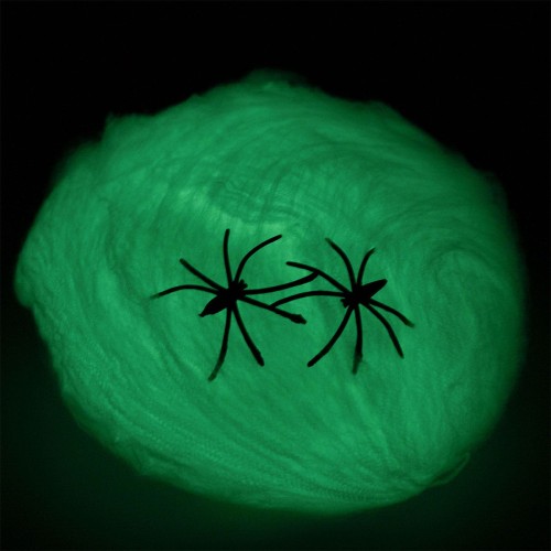 Świecąca w ciemności pajęczyna z pająkiem