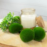 Dekoracyjne kamienie z imitacji mchu (4 szt.)