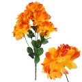 Chryzantema w bukiecie x5